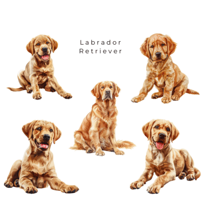 Golden Retriever Clipart Pack (2)