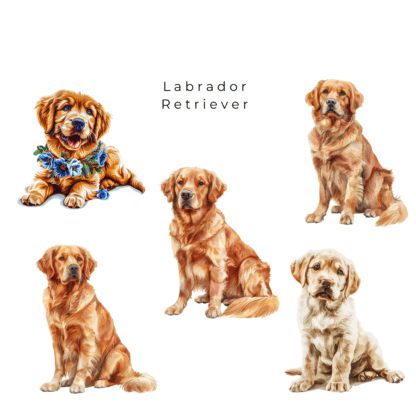 Golden Retriever Clipart Pack (3)