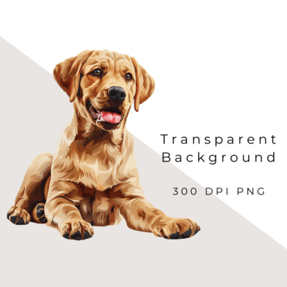 Golden Retriever Clipart Pack (4)