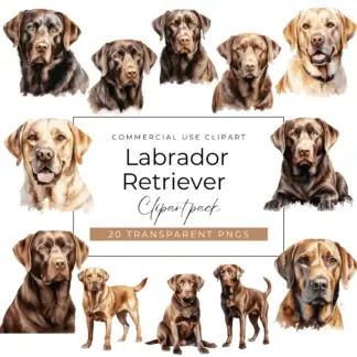 Labrador Retriever Clipart pack (1)